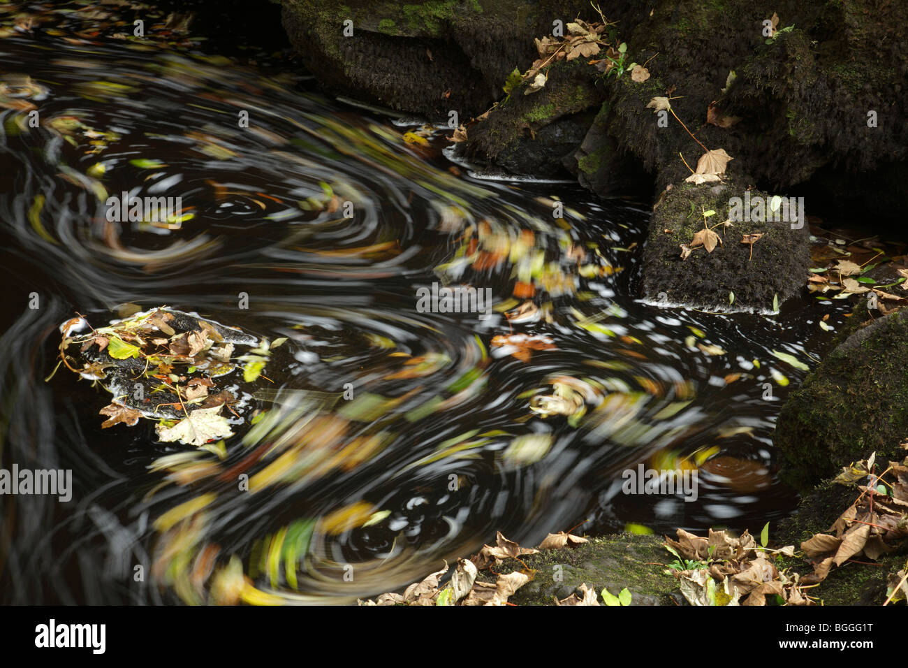 Herbstblätter wirbeln in der Strömung eines Flusses, Schottland, Großbritannien Stockfoto