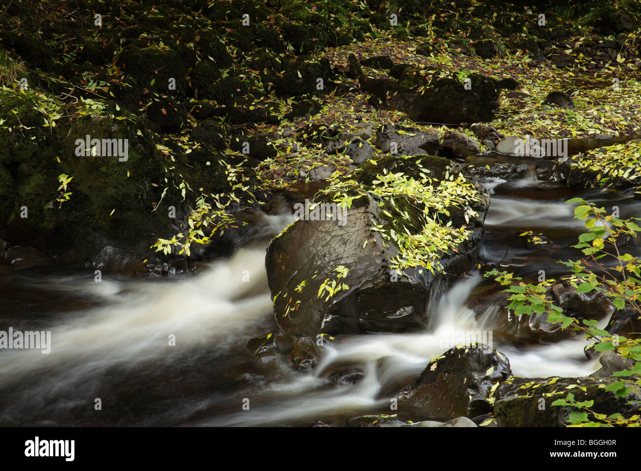 Flusses Calder in Herbst Lochwinnoch Renfrewshire Scotland UK Stockfoto