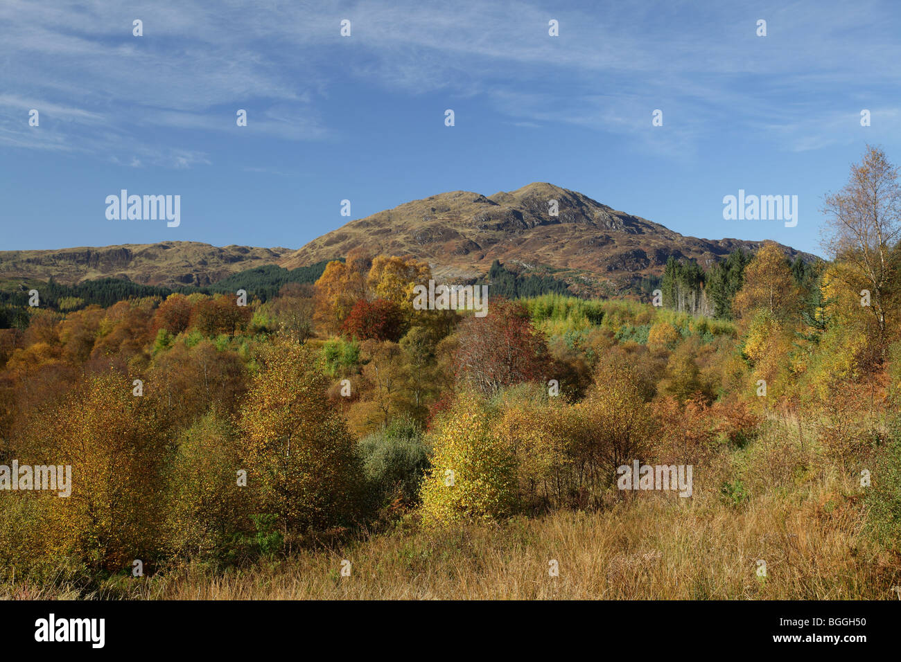 Ben Venue im Herbst, ein Graham im Loch Lomond and Trossachs National Park, Stirling, Schottland, Großbritannien Stockfoto