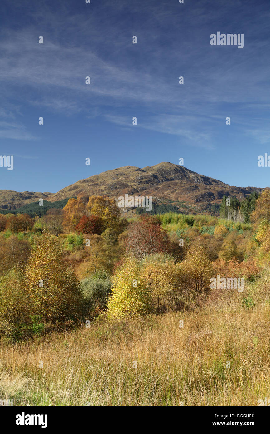 Ben Venue im Herbst, ein Graham im Loch Lomond and Trossachs National Park, Stirling, Schottland, Großbritannien Stockfoto