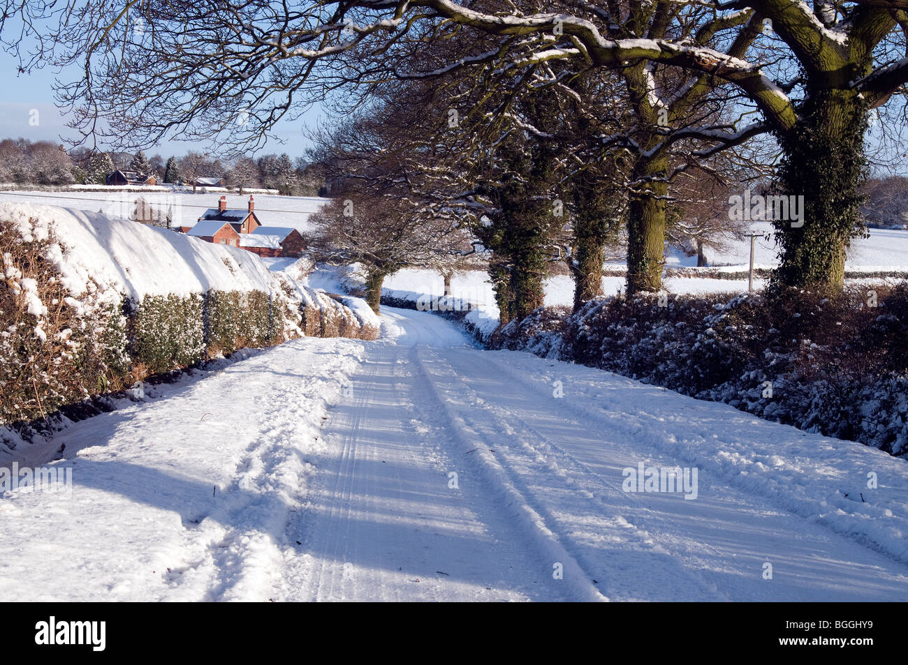 Feldweg in Schnee bedeckt, Warwickshire Stockfoto