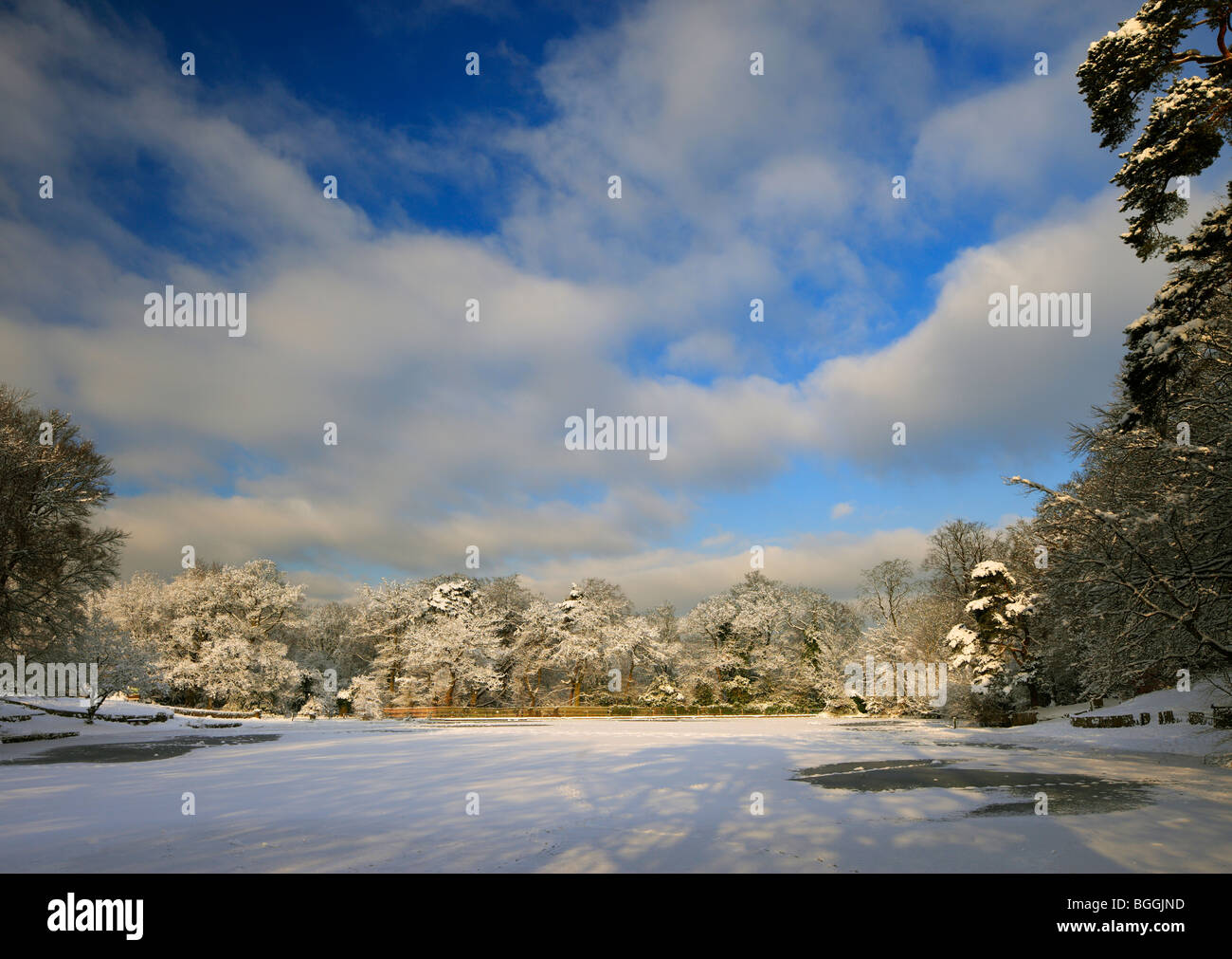 Keston Teich Winter-Szene. Stockfoto