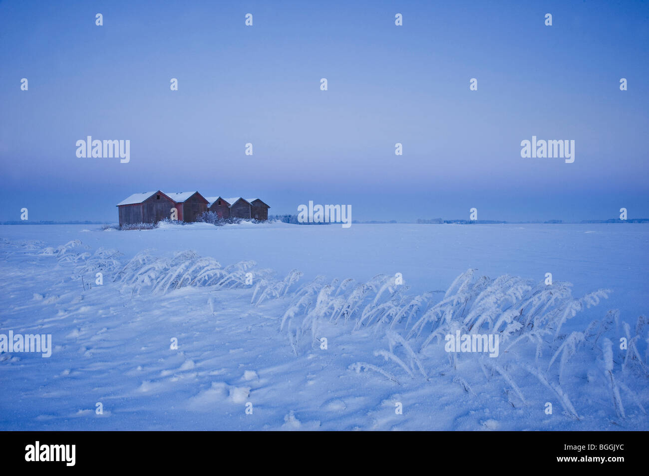 Korn-Lagerschuppen in ländlichen Alberta, Kanada. Stockfoto