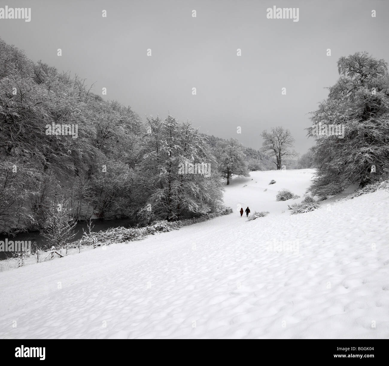 Verschneite Landschaft. Stockfoto