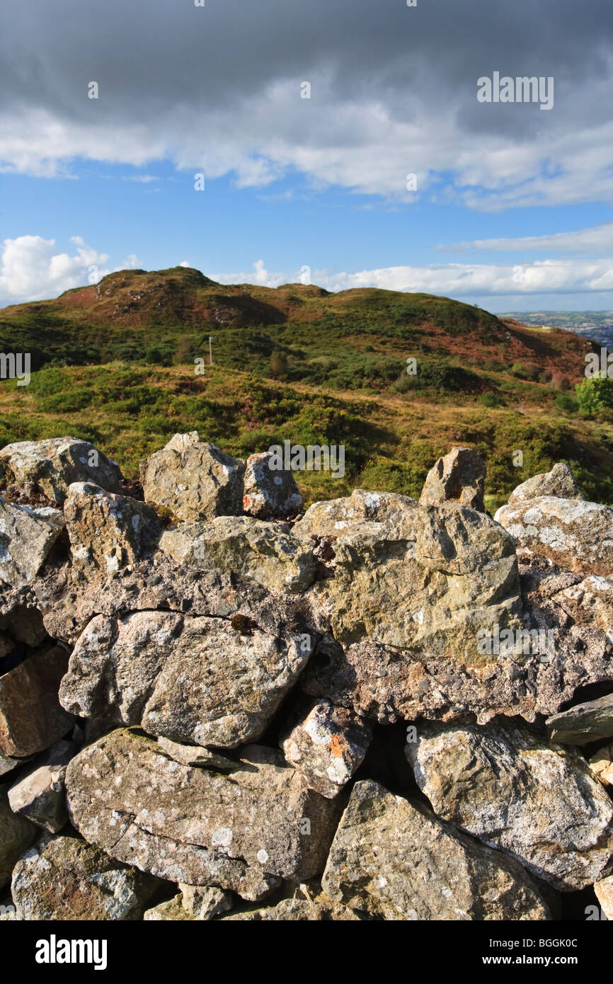 Trockensteinmauer am Fahnenmast Aussichtspunkt in Richtung Newry, County Down, Nordirland Stockfoto