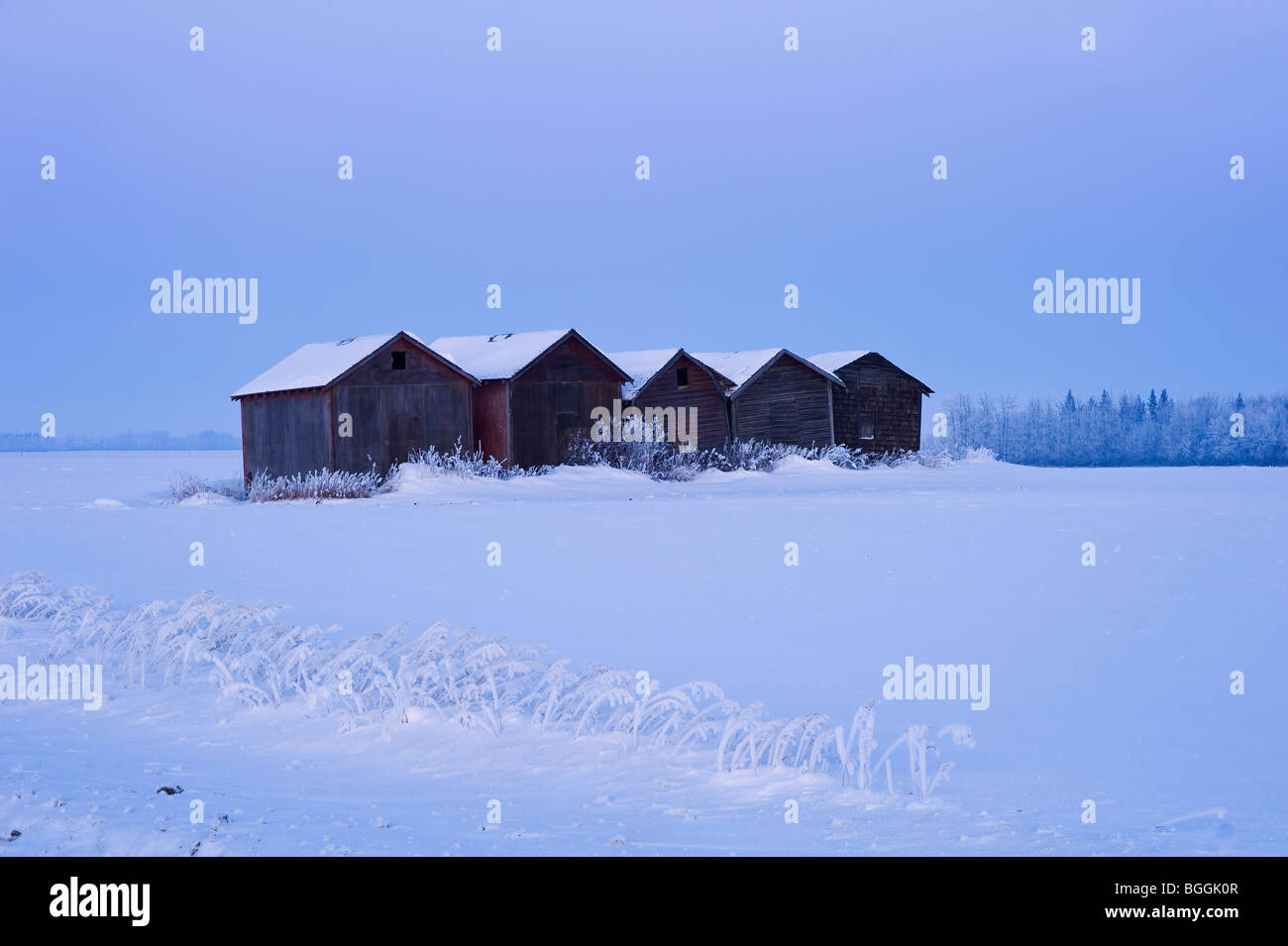 Korn-Lagerschuppen in ländlichen Alberta, Kanada. Stockfoto