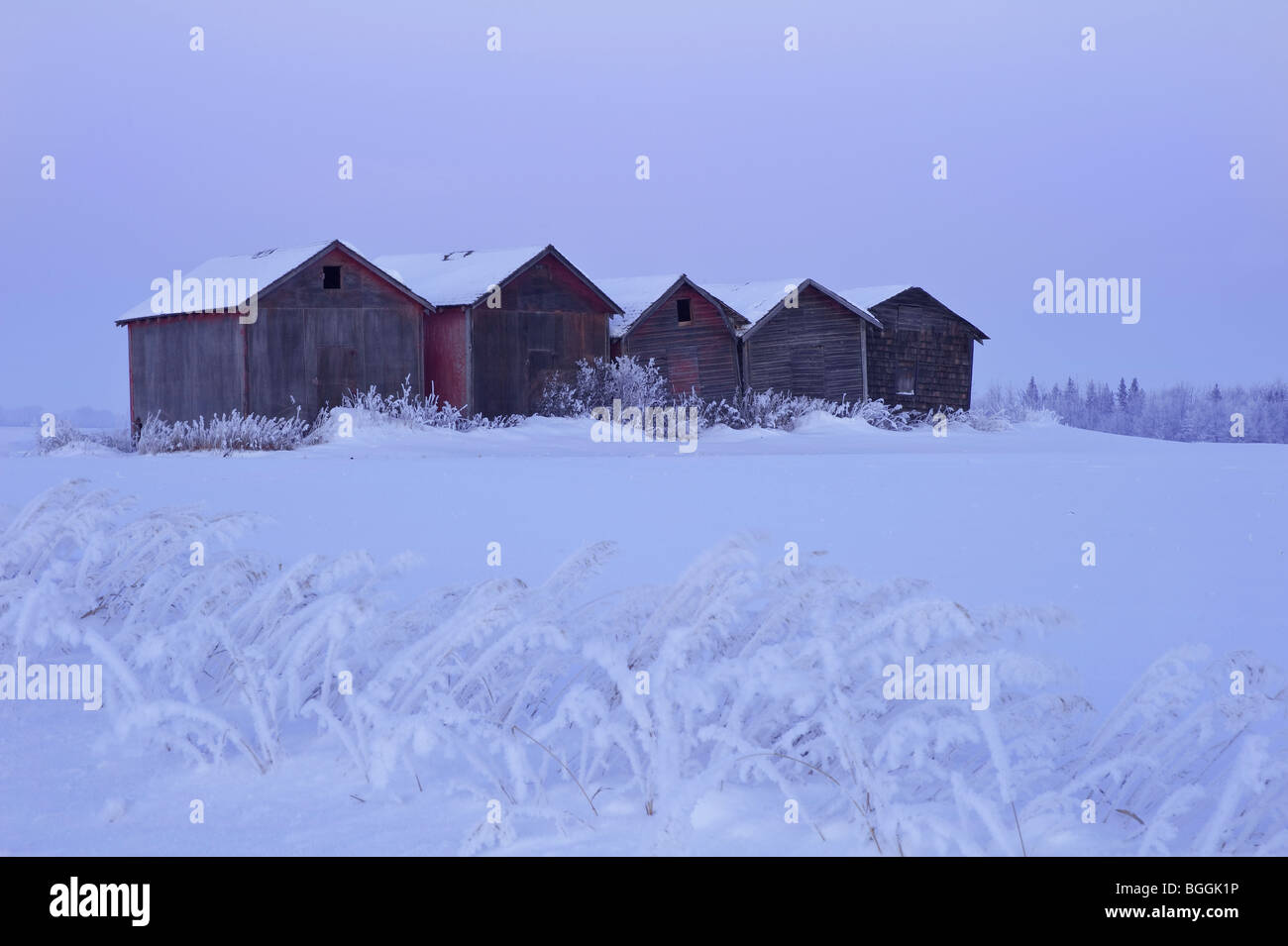 Korn-Lagerschuppen in ländlichen Alberta, Kanada. Stockfoto