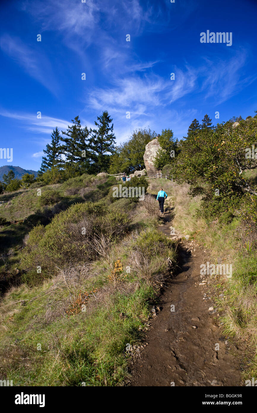 Eine Frau Wanderungen auf einem Wanderweg in der Nähe von Muir Woods National Monument, Ocean View Trail, Marin County, Kalifornien, Vereinigte Staaten von Amerika Stockfoto