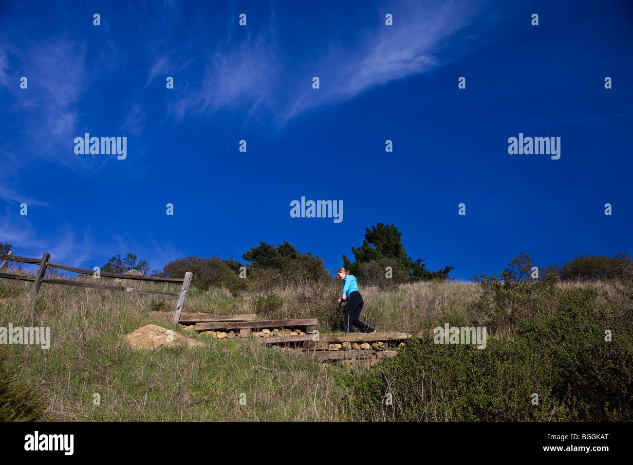 Eine Frau Wanderungen auf einem Wanderweg in der Nähe von Muir Woods National Monument, Ocean View Trail, Marin County, Kalifornien, Vereinigte Staaten von Amerika Stockfoto