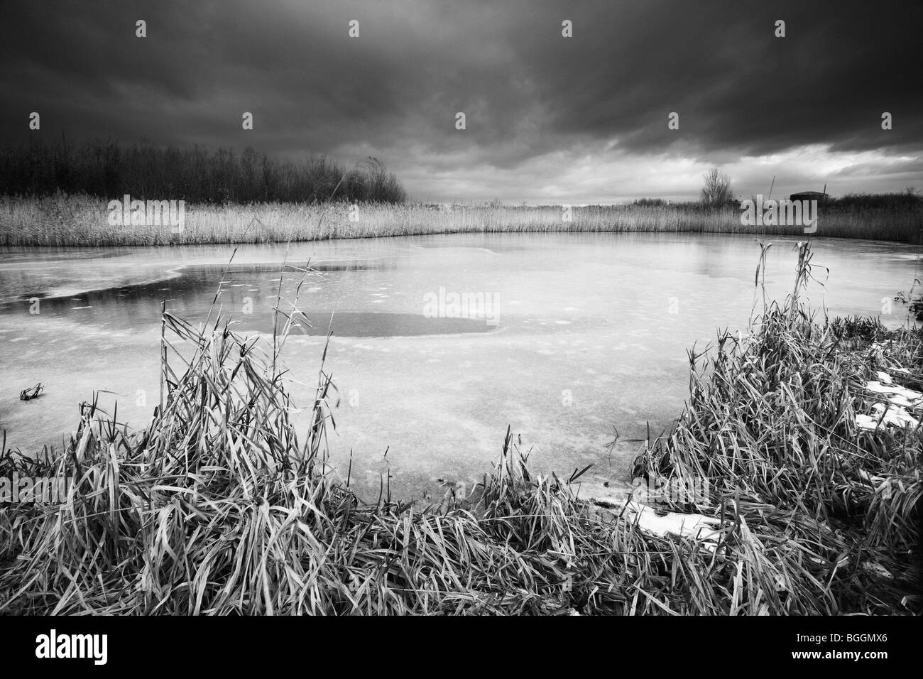 Ein schwarz-weiß Foto von einem zugefrorenen Teich an einem kalten Wintermorgen Stockfoto