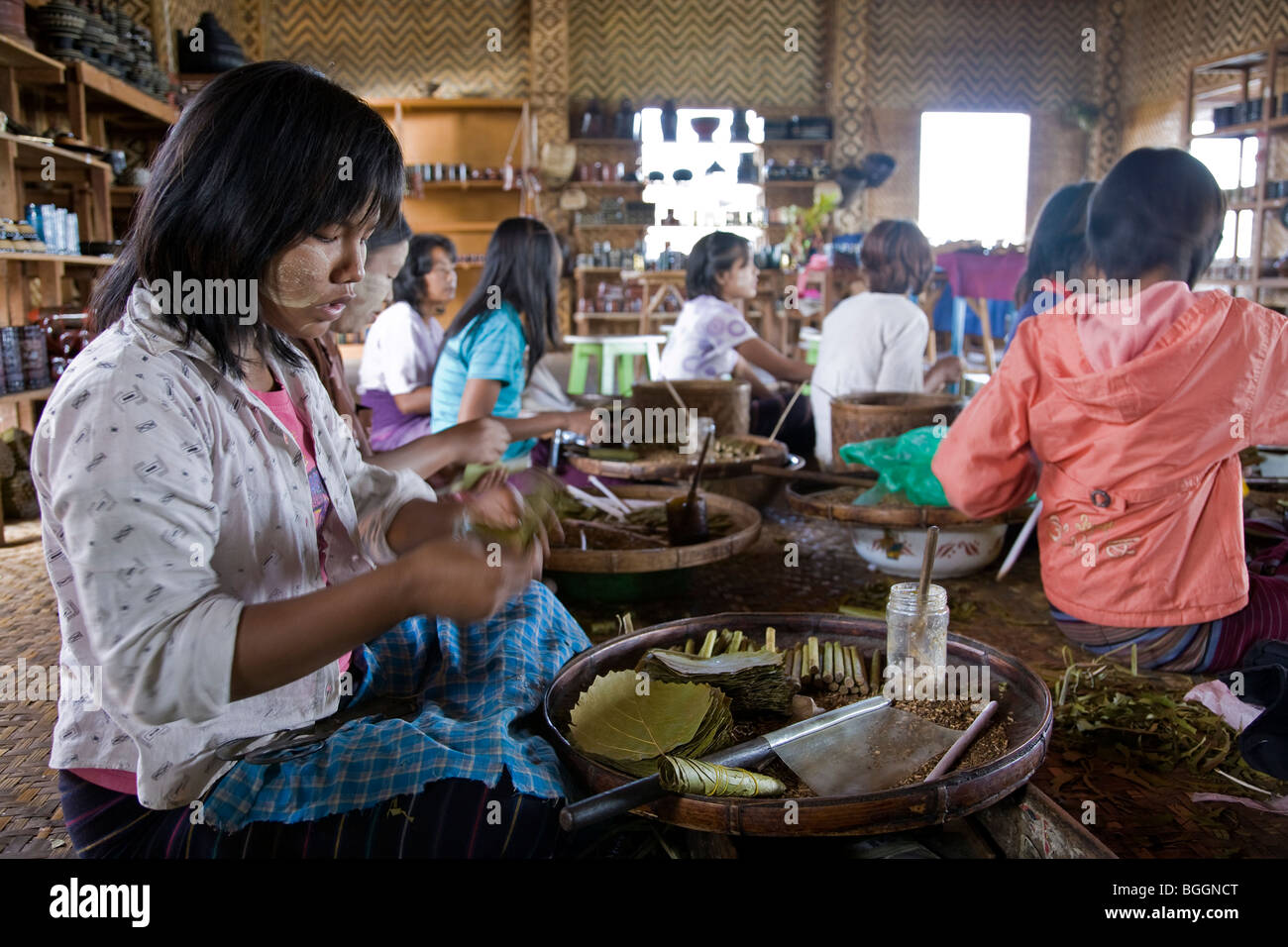 Frauen arbeiten in einer Wurzel-Zigarren-Fabrik. Indein Dorf. Inle-See. Myanmar. Stockfoto