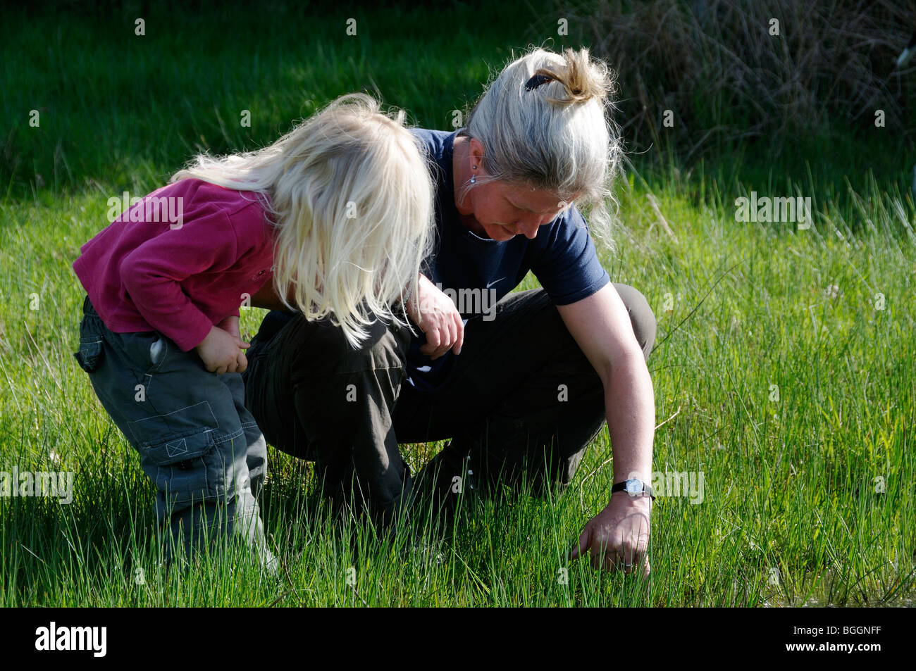 Stock Foto von einer Mutter und ihre 3 Jahre alte Tochter Blick auf Insekten, die versteckt in den Rasen. Stockfoto