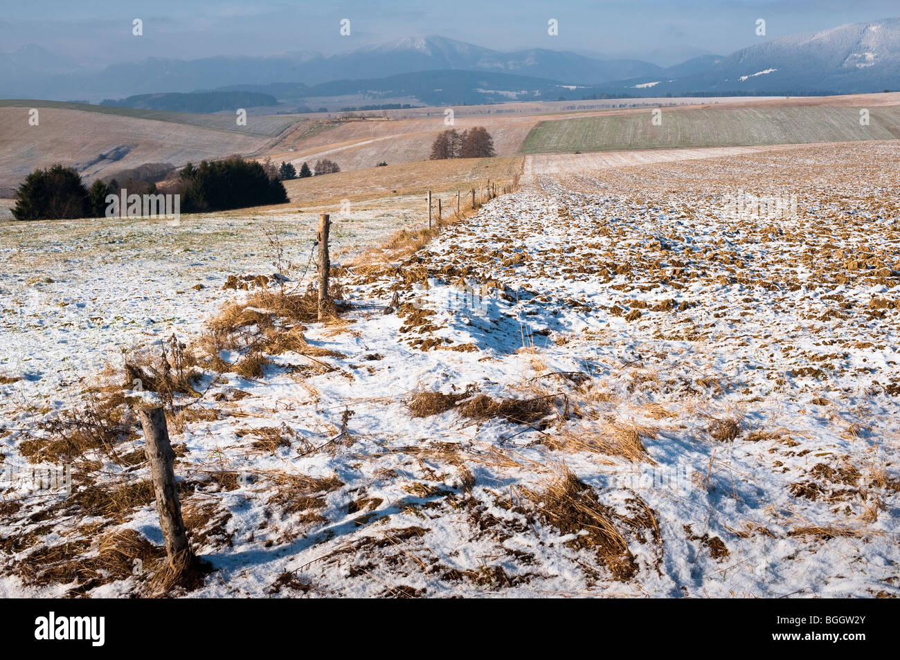 Felder und Wiesen auf Liptov, Slowakei, am Anfang des Winters Stockfoto