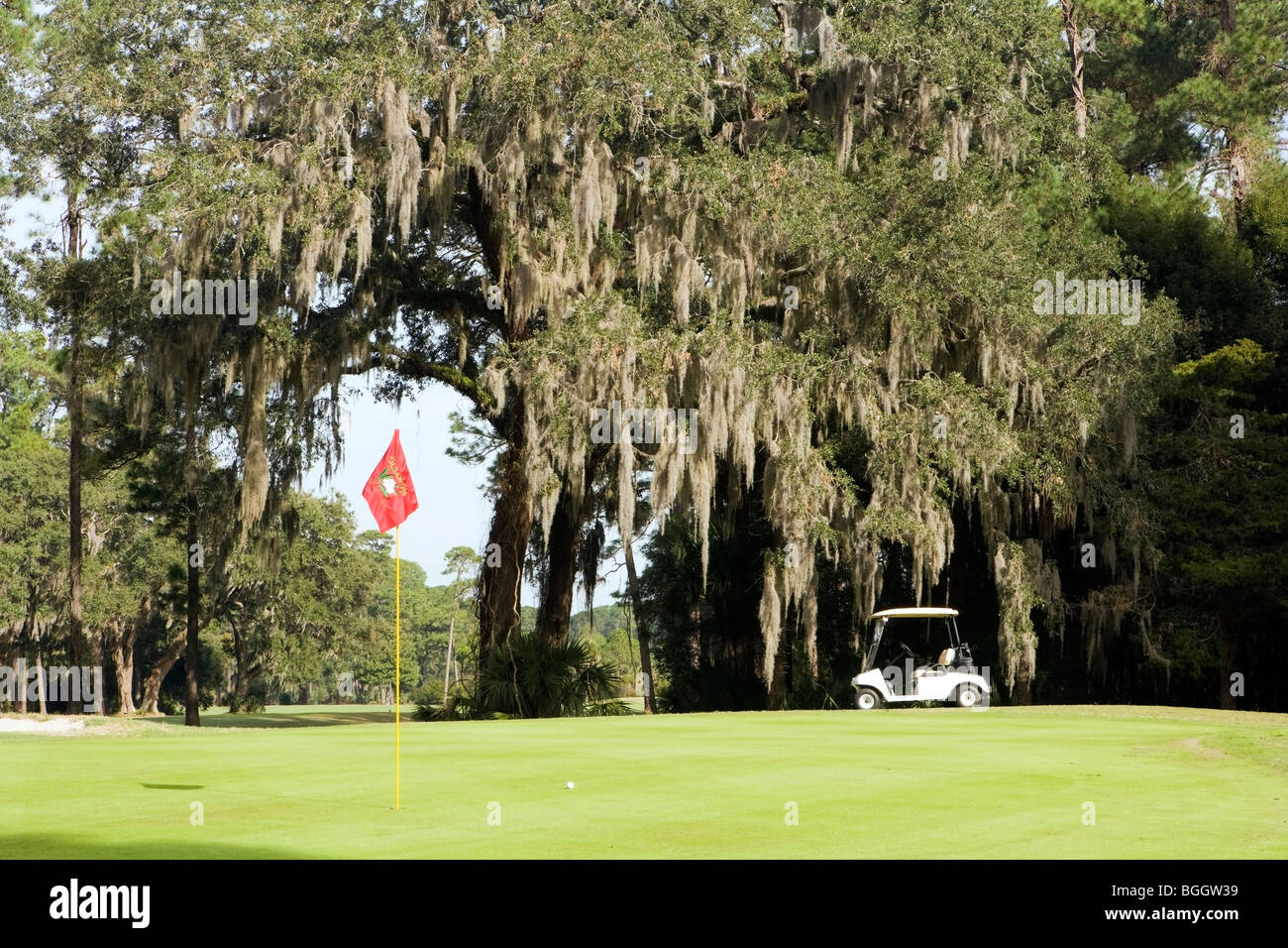 Golfplatz - Jekyll Island, Georgia USA Stockfoto