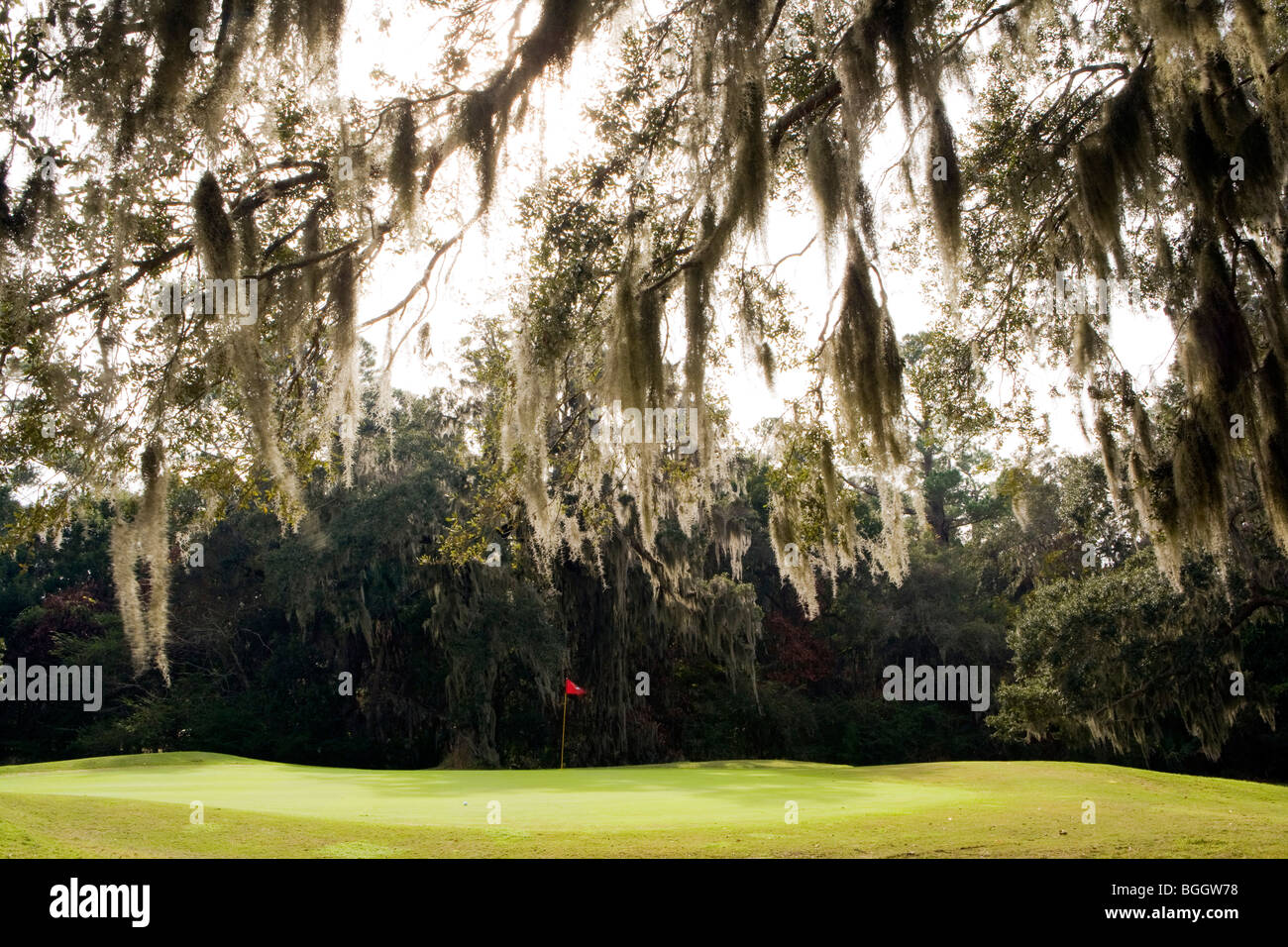 Golfplatz - Jekyll Island, Georgia USA Stockfoto