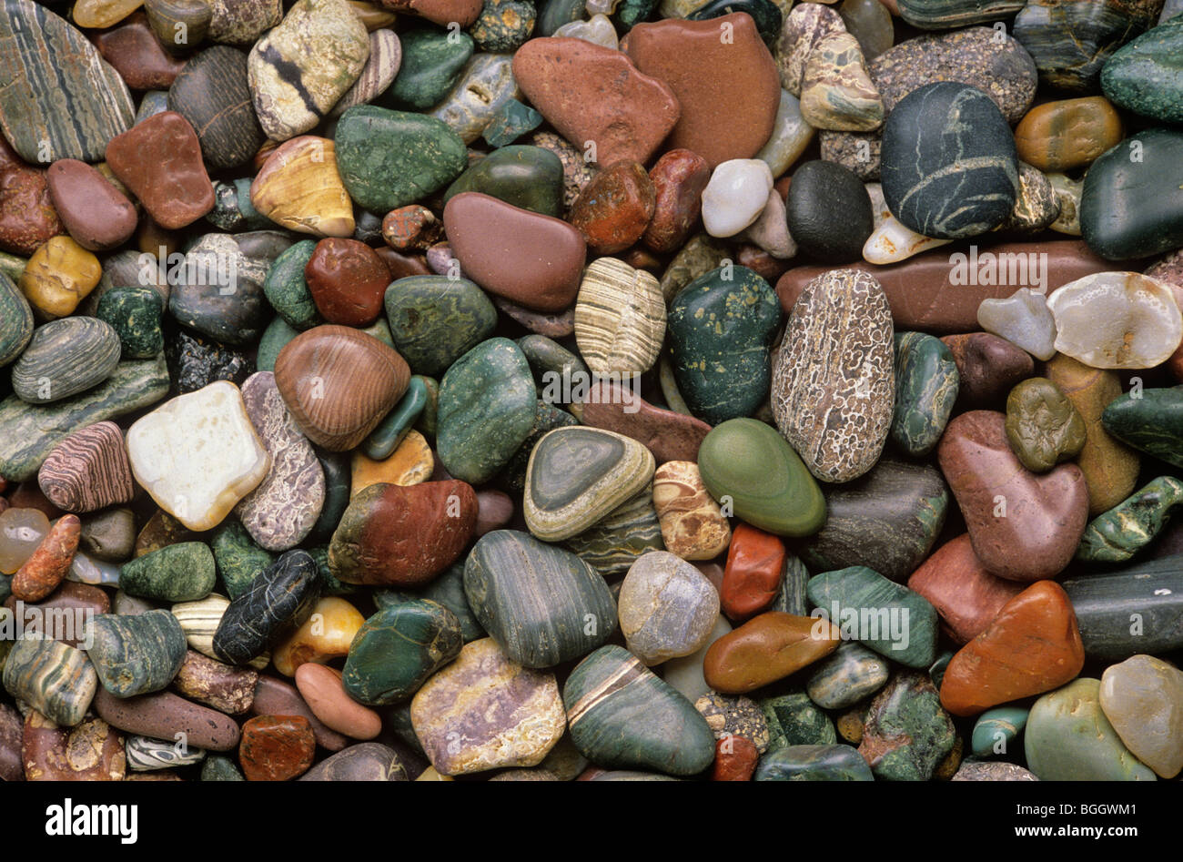 Strand Kieselsteine gesammelt von Agate Beach auf der Kupreanof-Insel in Southeast Alaska, USA Stockfoto