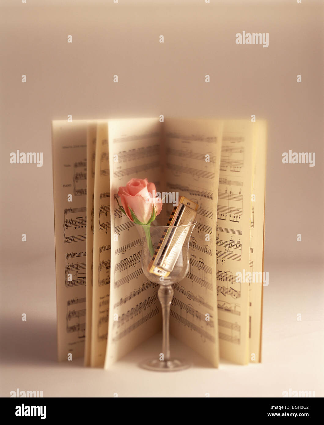 Musik und eine Rose und Mundharmonika in einem Glas öffnen Stockfoto