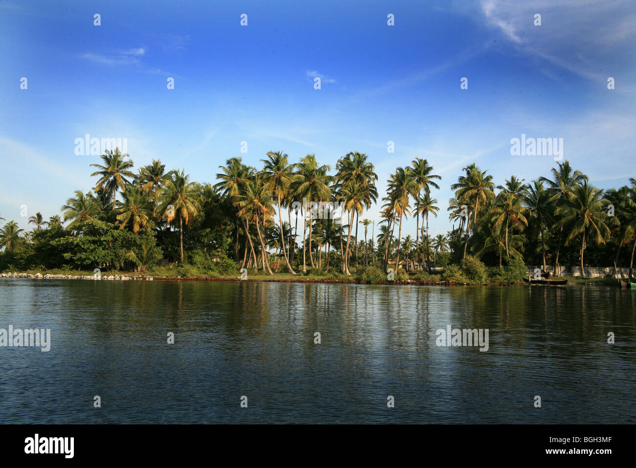 Die Backwaters, Kerala Indien Stockfoto