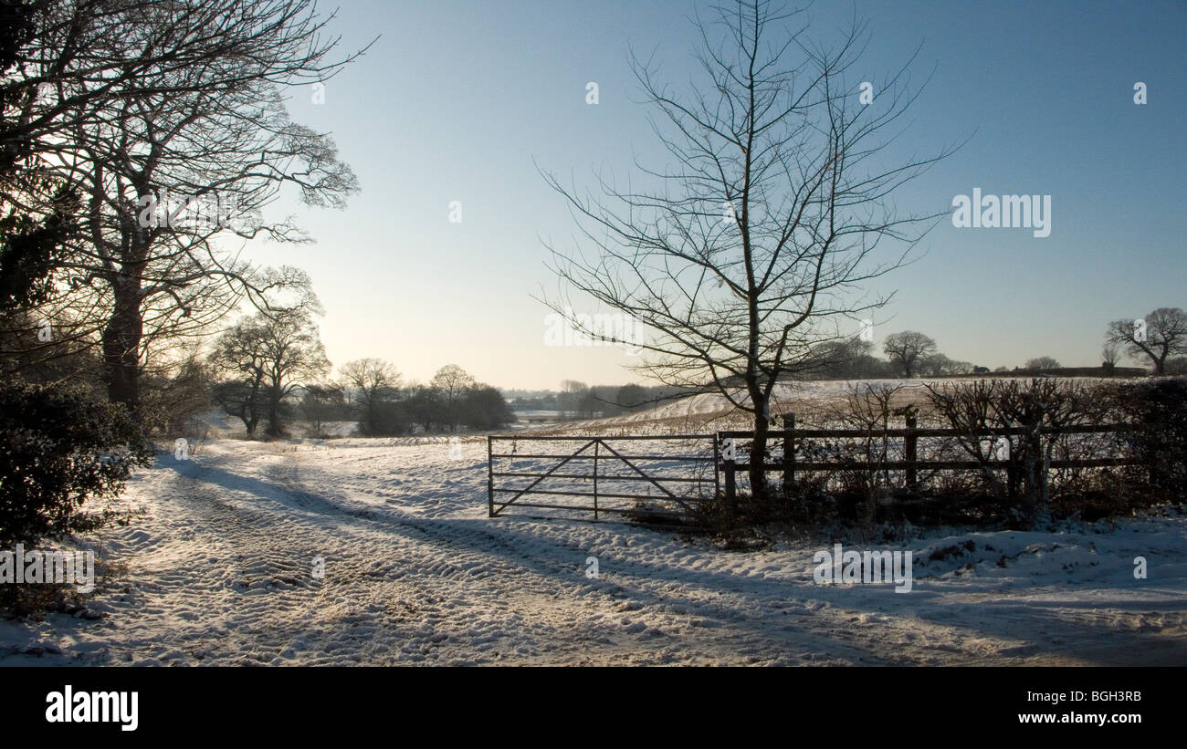 Cheshire-Landschaft im winter Stockfoto