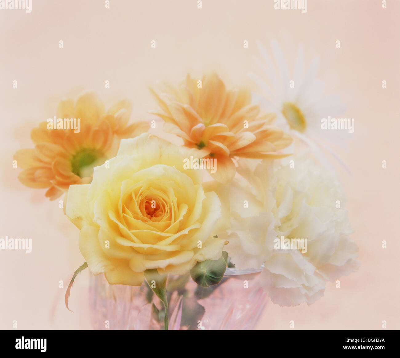 Orange, gelbe und weiße Blumen in einer Vase Stockfoto