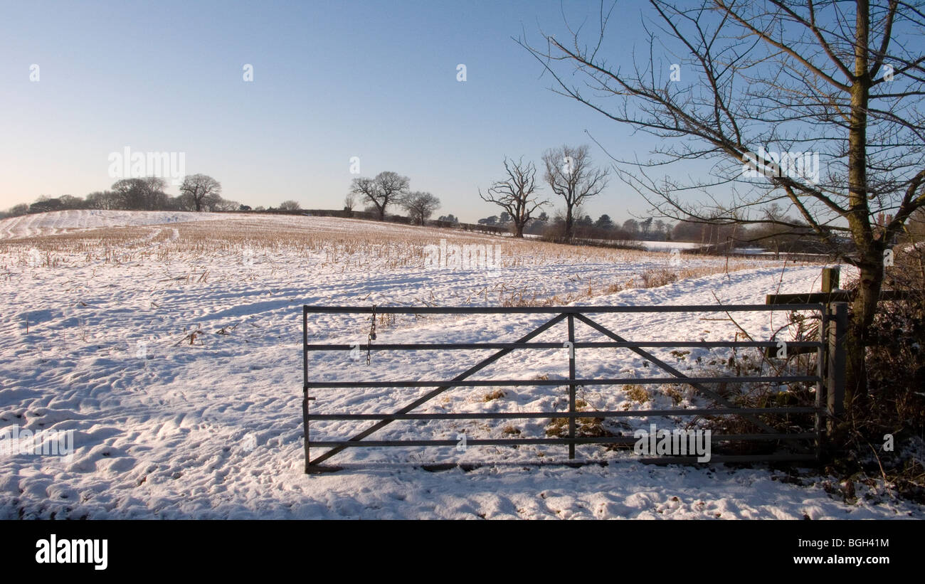 Cheshire-Landschaft im winter Stockfoto