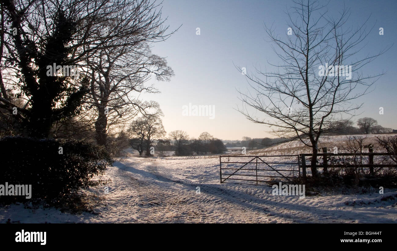 Cheshire-Landschaft im winter Stockfoto