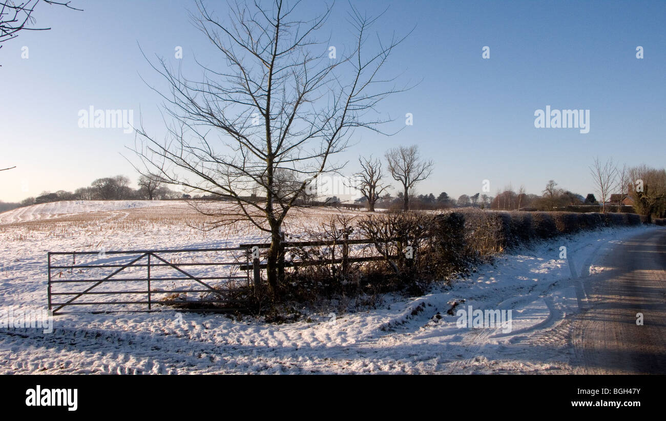 Cheshire-Landschaft im winter Stockfoto