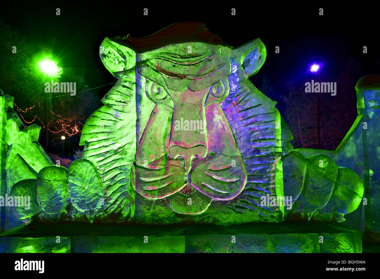 Eis-Skulptur des Tigers mit grünen und blauen Lichter beleuchtet Stockfoto