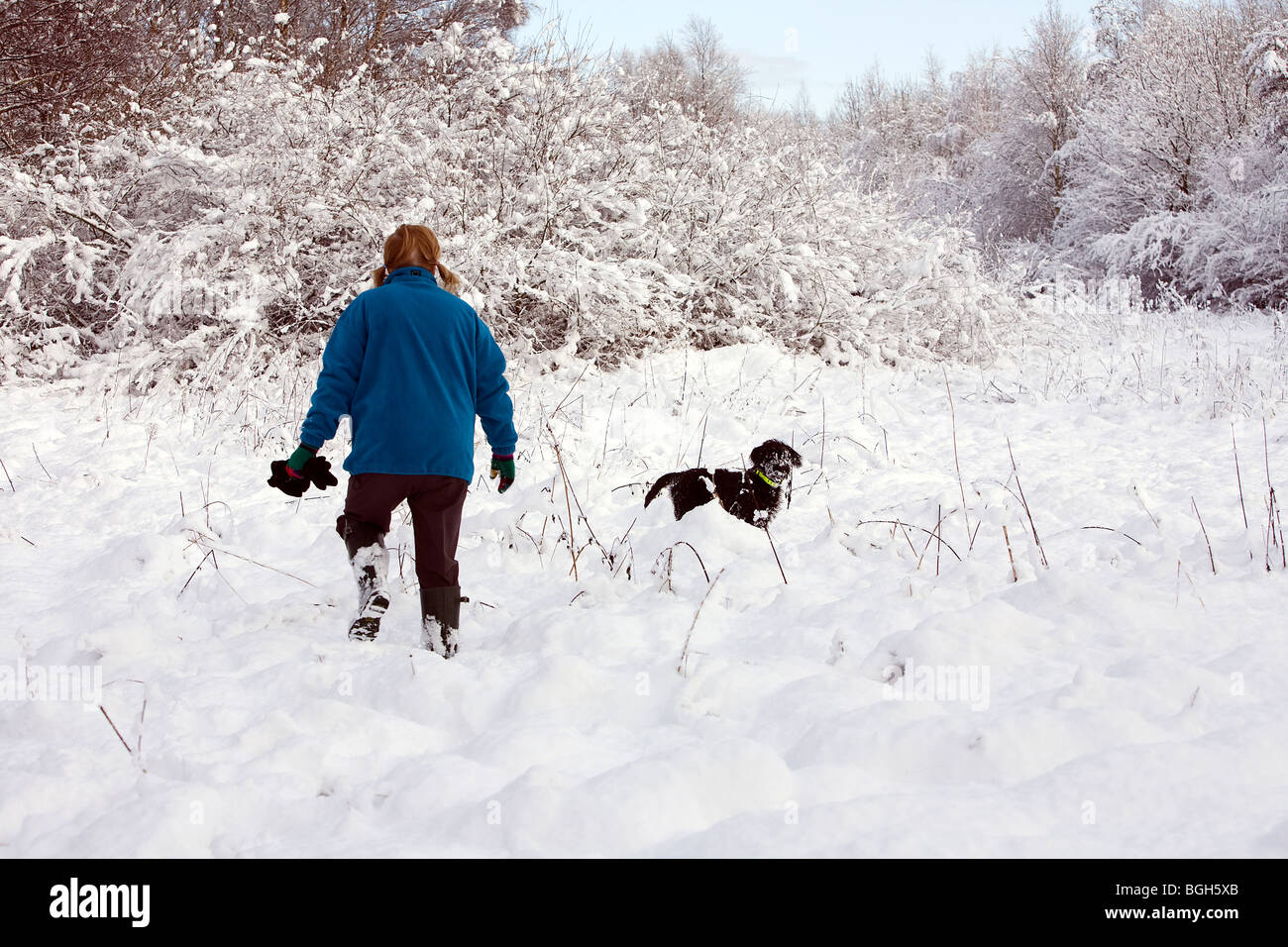 Dame in blauem Vlies spielt im Schnee, während ihr tief verschneiten Labradoodle Welpen beobachtet und wartet, dass ihr darauf Stockfoto