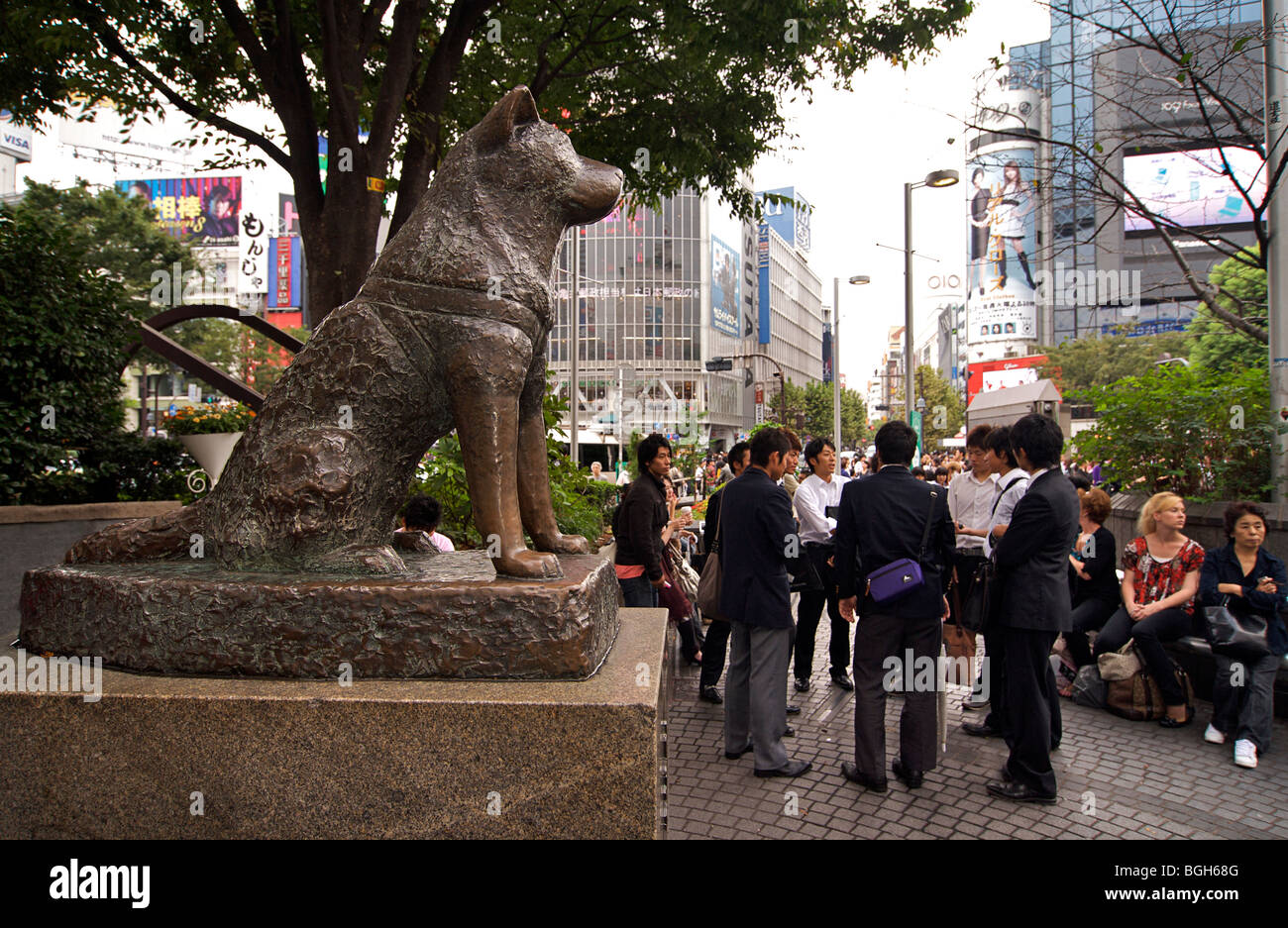 Bronze-Statue des berühmten Hundes Hachiko, Hachiko Square, Shibuya, Tokyo Japan Stockfoto