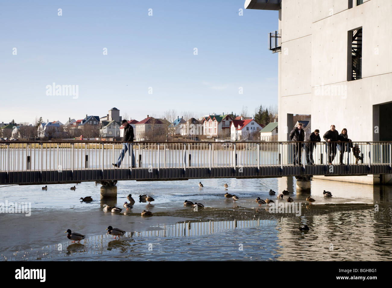 Leute beobachten die Enten am Tjörnin-See, Rathaus von Reykjavik, Island. Stockfoto