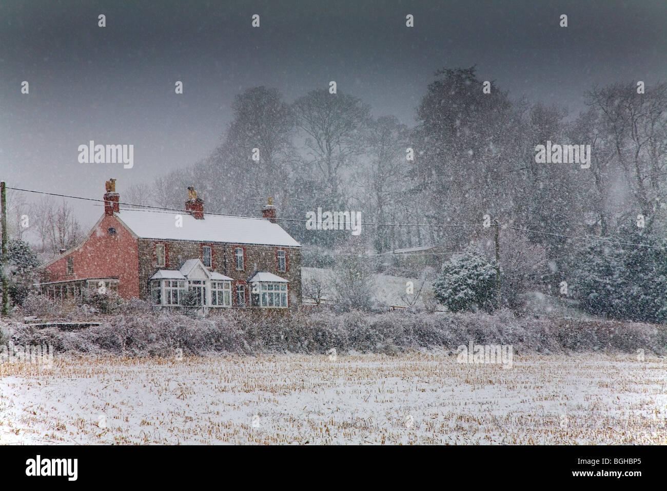 Landhäuser im Schnee Sturm Gloucestershire, England UK UK Stockfoto