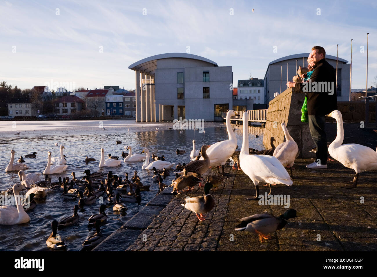 Vater und Tochter, die Fütterung der Vögel auf einem sonnigen Herbstnachmittag. Die Innenstadt von Reykjavik, Island. Stockfoto