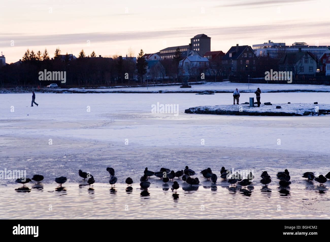 Menschen auf einem zugefrorenen See (Tjörnin). Die Innenstadt von Reykjavik, Island. Stockfoto