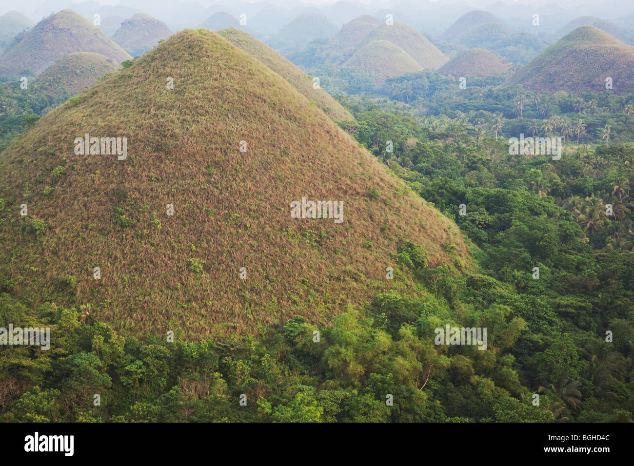 Chocolate Hills; Bohol; Die Visayas; Philippinen Stockfoto