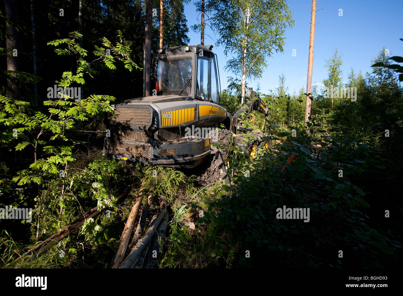 Gelbe Ponsse Ergo Wald Mähdrescher am Holzschlag Website im finnischen Wald, Finnland Stockfoto