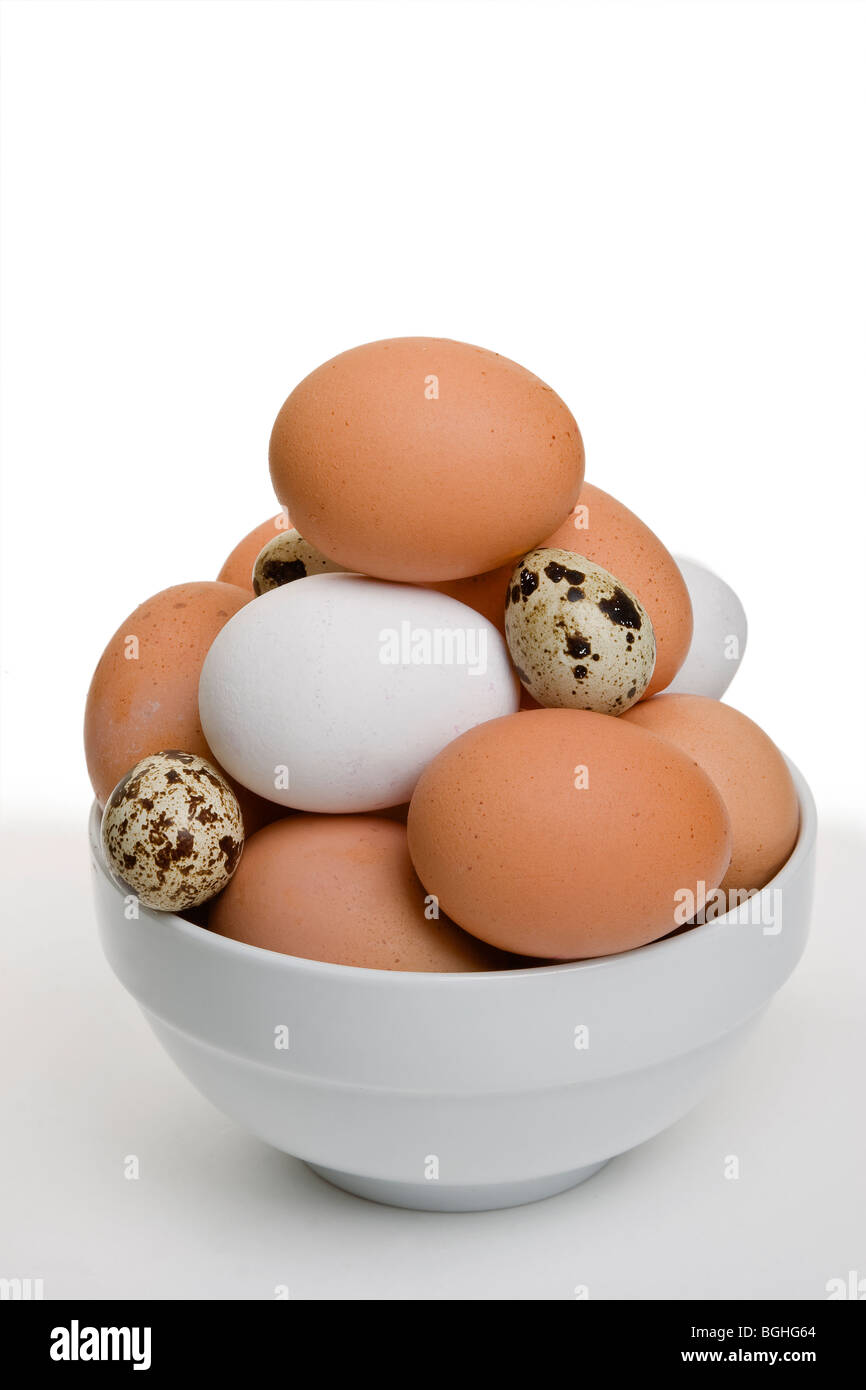 Schüssel mit gemischten Eiern als Metapher für diversifizierte Investitionen Stockfoto