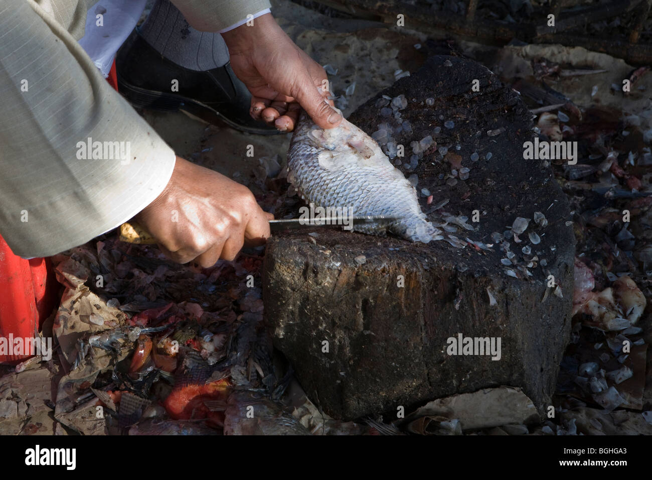 Entkalken und frischen Fisch zum Verkauf auf der Straße durch den Nil in Mittelägypten filetieren Stockfoto
