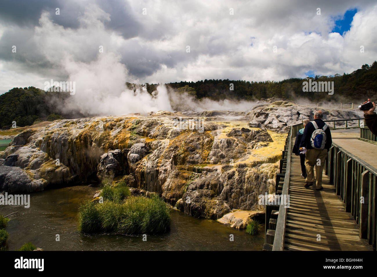 Whakarewarewa Thermal Reserve, Nordinsel, Neuseeland Stockfoto