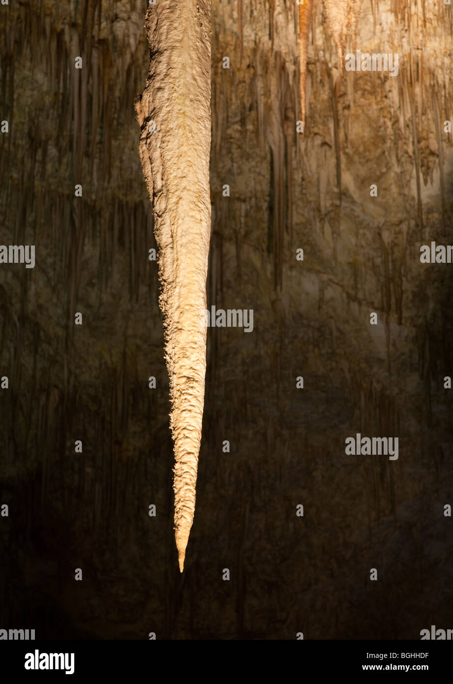 Ein Stalaktit in Carlsbad Caverns in New Mexico Stockfoto