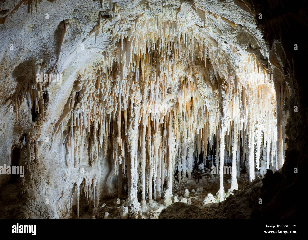 Carlsbad Caverns in New Mexico Stockfoto
