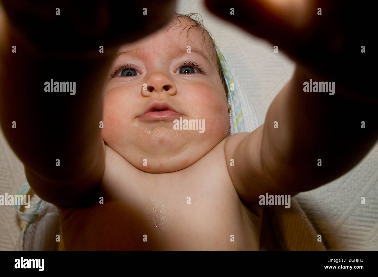 6 Monate altes Baby mit seinen Händen auf das Objektiv der Kamera Stockfoto