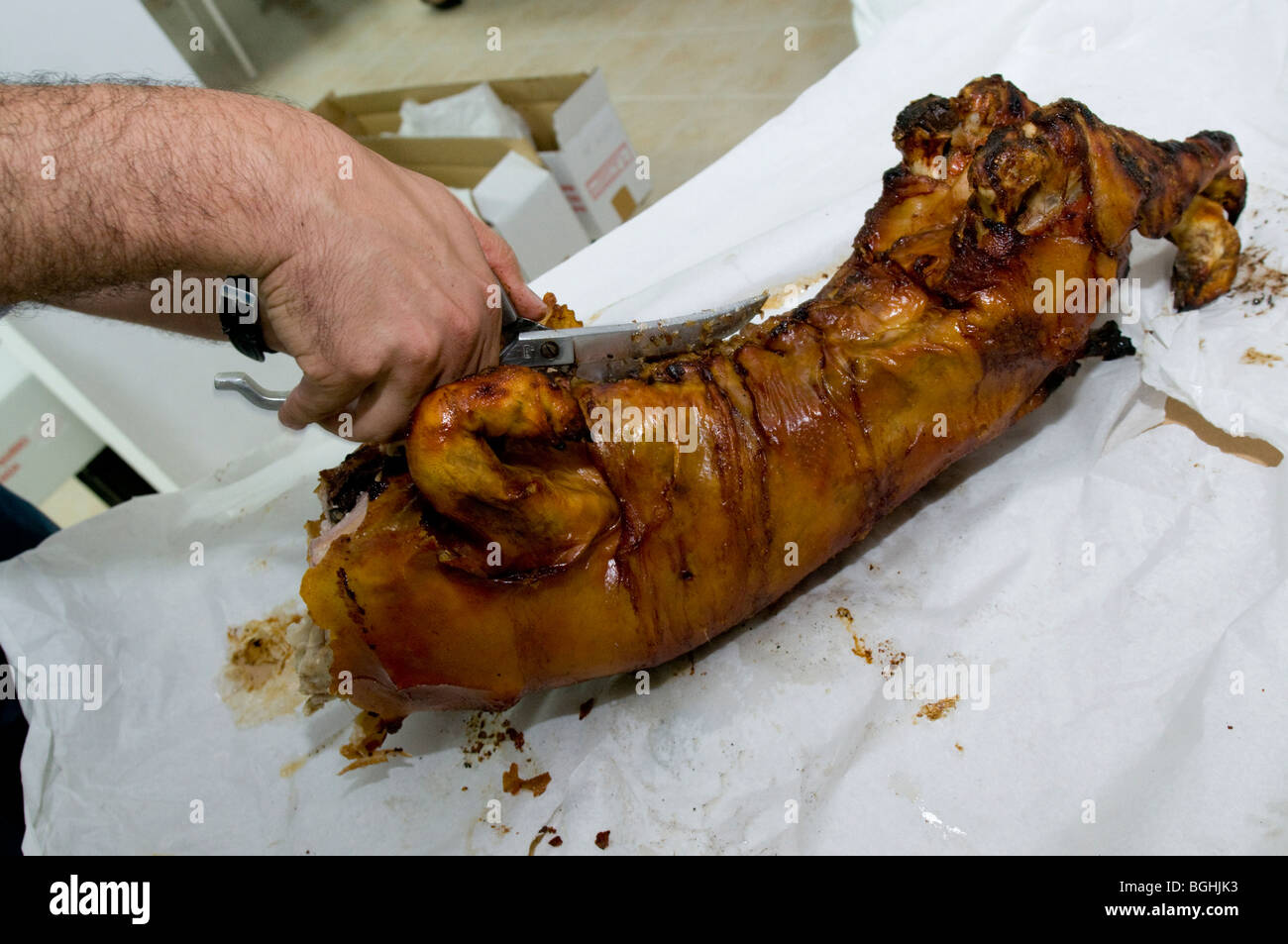 Schneiden ein frisch zubereitetes Ferkel (Leitão à Bairrada) in Portugal Stockfoto