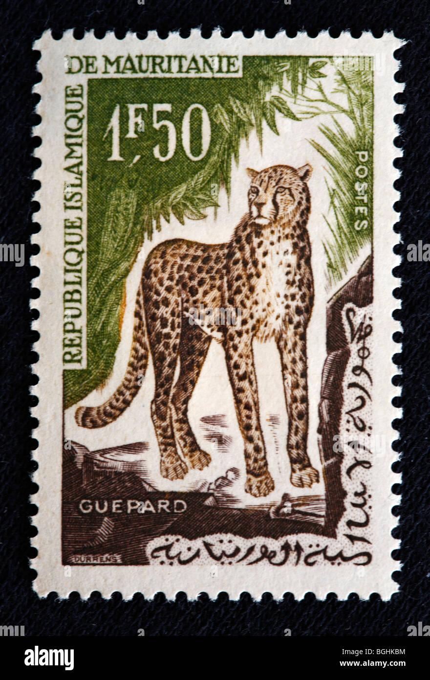 Gepard, Briefmarke, Republik Mauritanie, 1970er Jahre Stockfoto