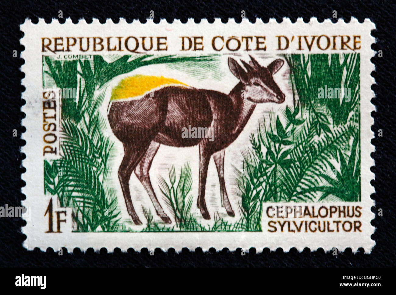Cephlophus Sylvicultor, Briefmarke, Cote d ' Ivoire, 1970er Jahre Stockfoto