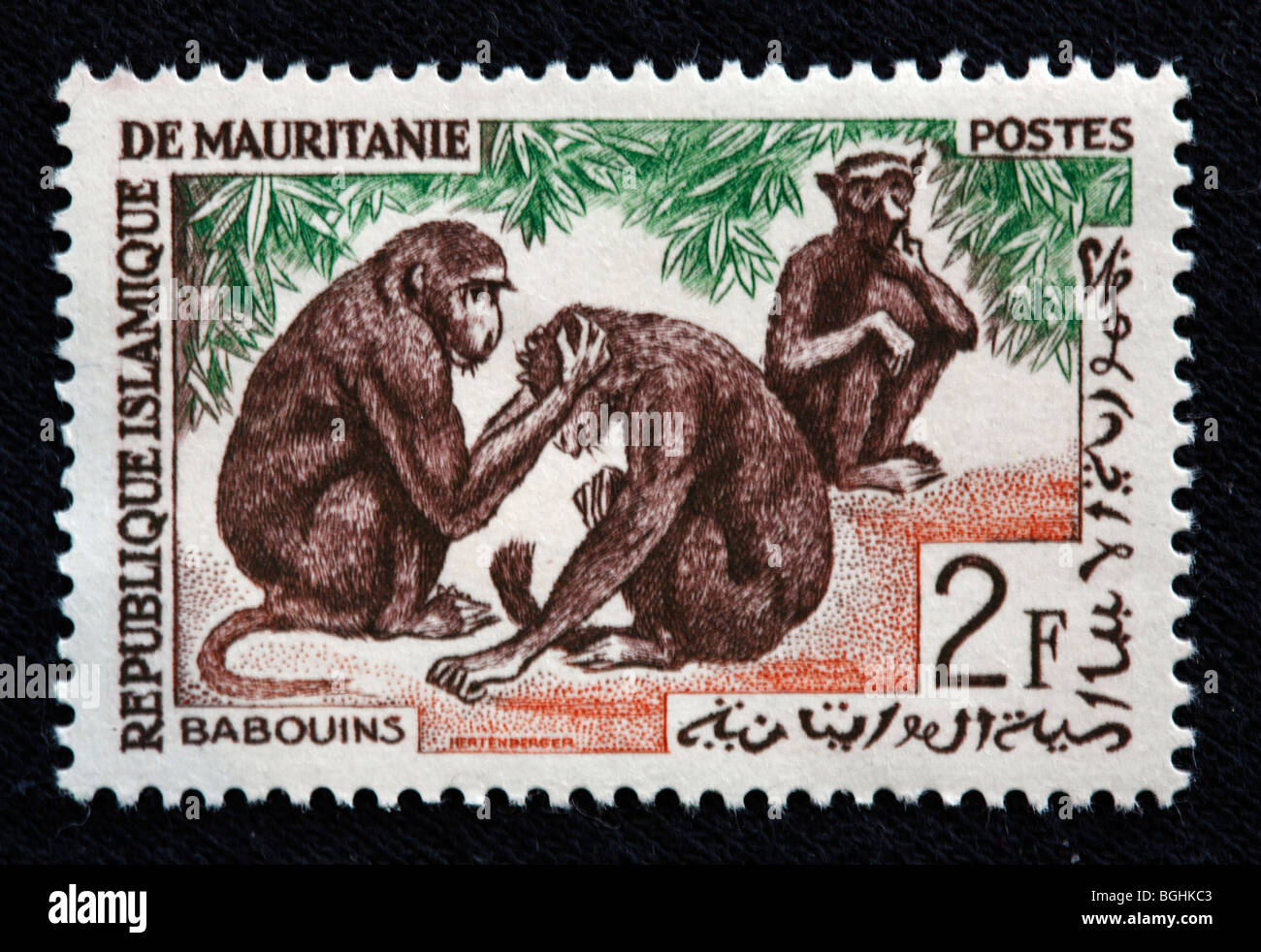 Baboins, Briefmarke, Republik Mauritanie, 1970er Jahre Stockfoto