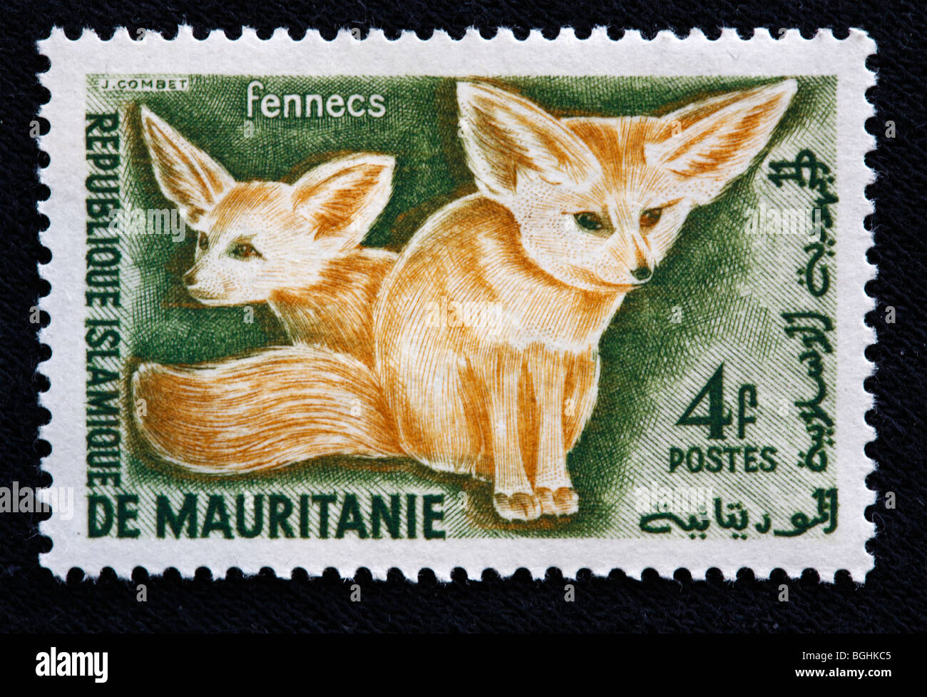 Fennecs, Briefmarke, Republik Mauritanie, 1970er Jahre Stockfoto