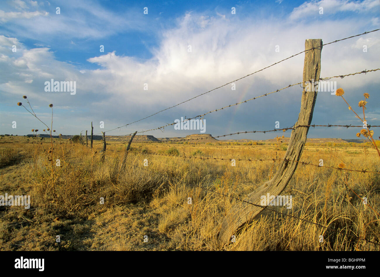 Stacheldrahtzaun und Regenbogen in Ranch Land, Cimarron County, Oklahoma, USA Stockfoto
