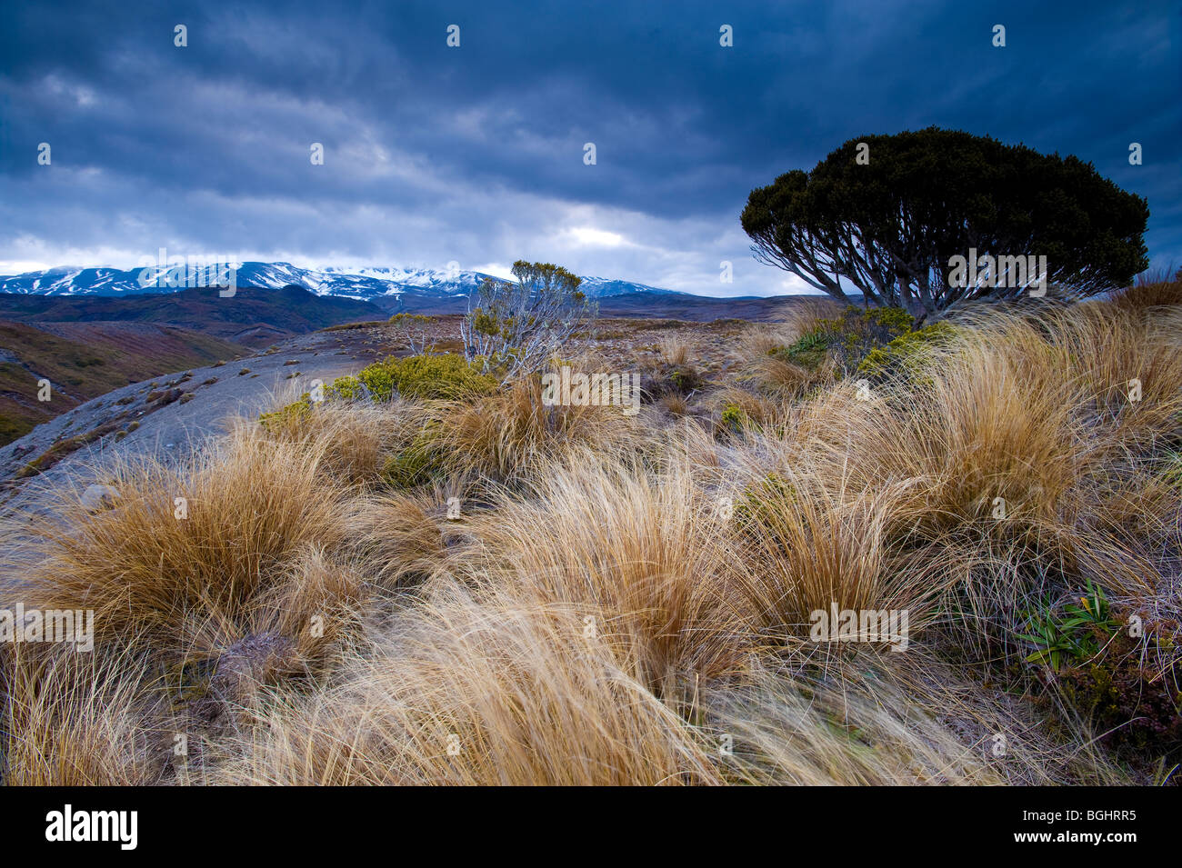 Tongariro National Park, North Island, Neuseeland Stockfoto