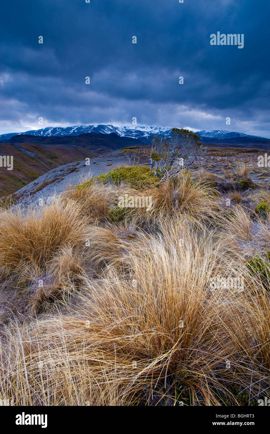 Tongariro National Park, North Island, Neuseeland Stockfoto